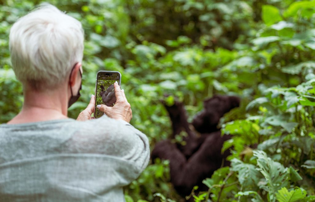 the-best-places-to-see-gorillas-in-uganda